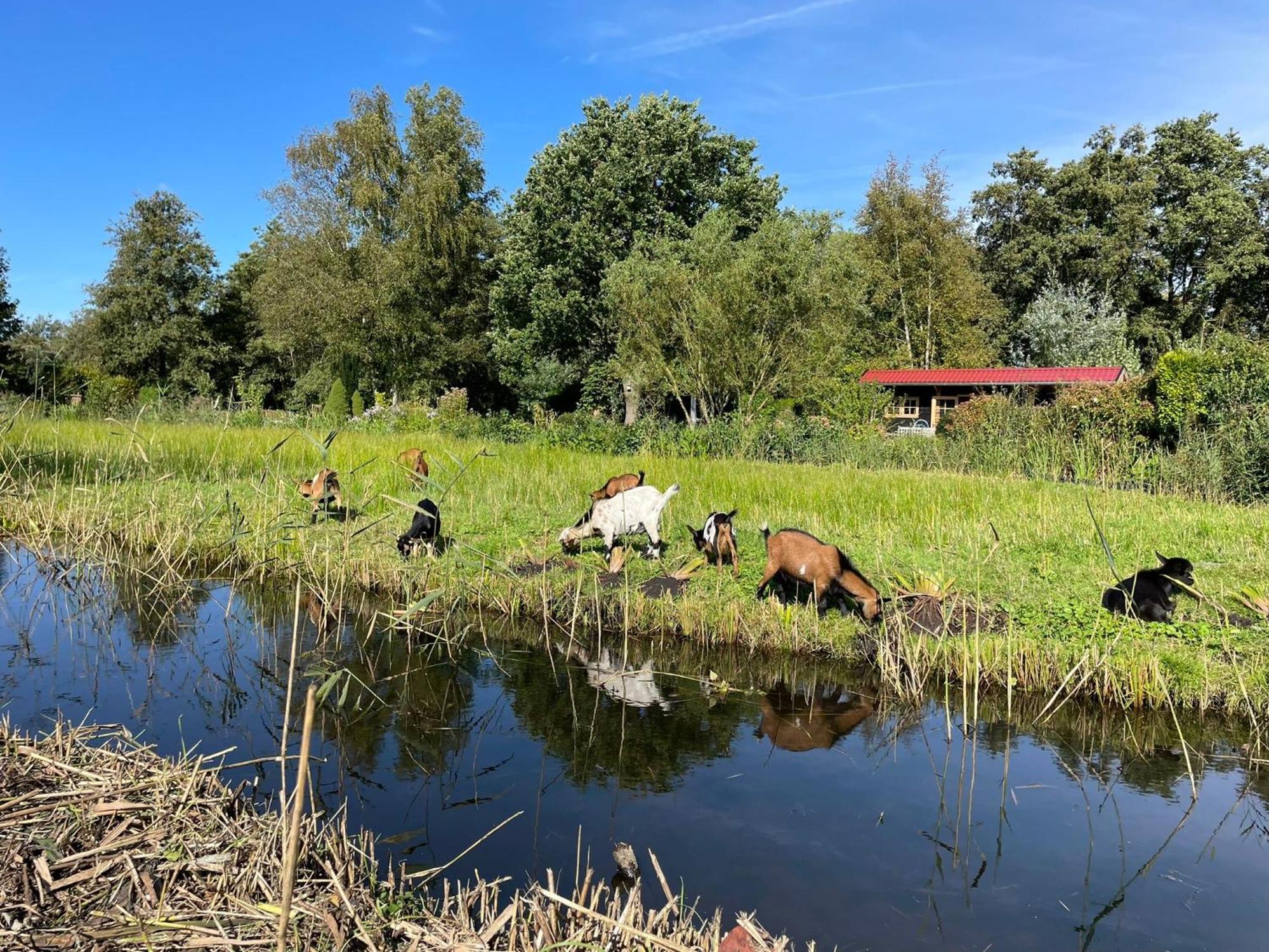 Huisje Op De Dijk Kortenhoef Ngoại thất bức ảnh